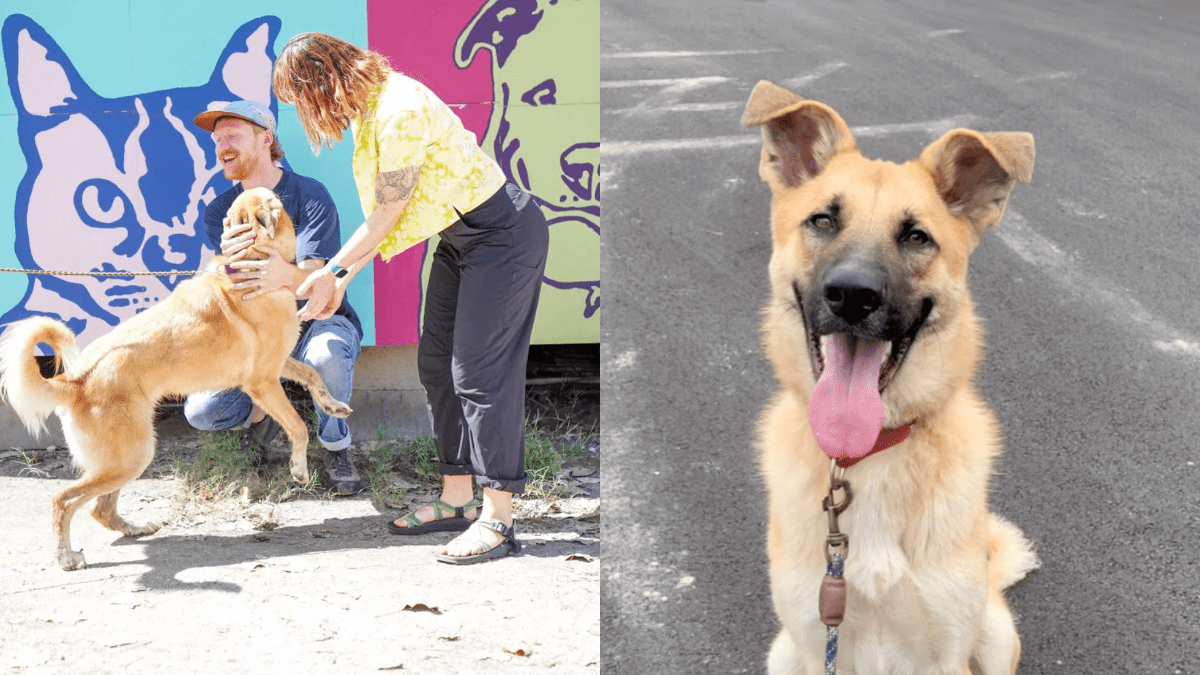 Man Waits Hours to Adopt Shelter Dog at Clean the Shelters Event