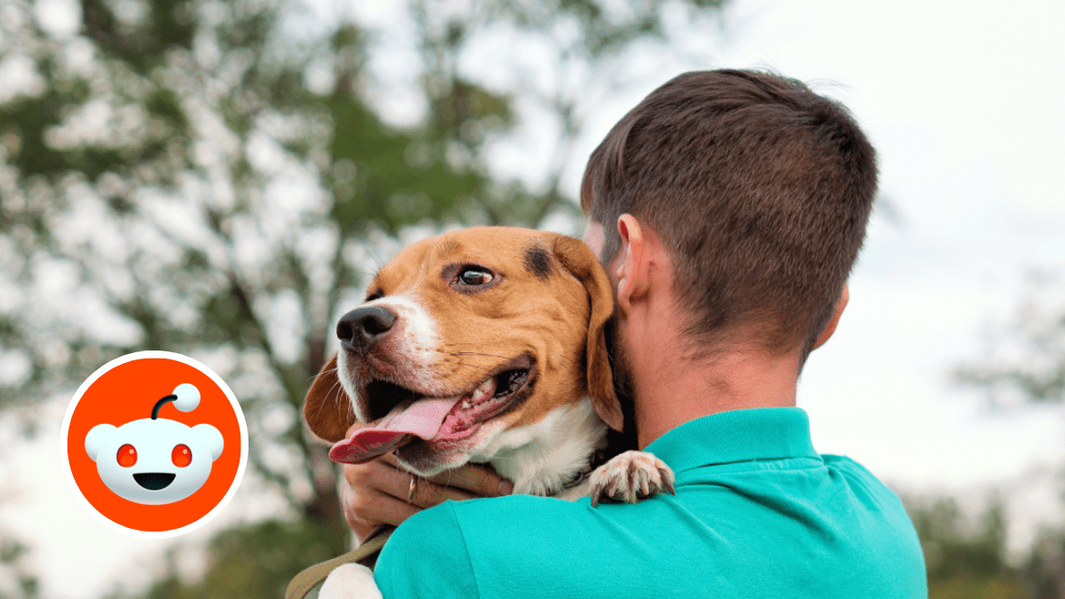 A Dog's Life on the Line Causes a Couple's Disagreement