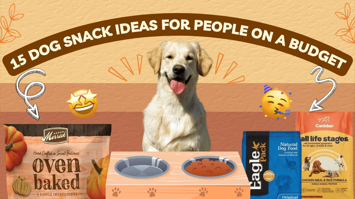 ANDREA Dog Listicle 1200 x 675