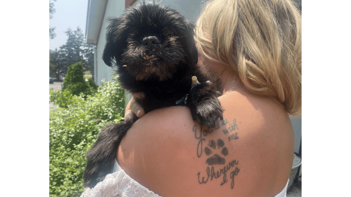 Cat's tattoo in honor of Bear