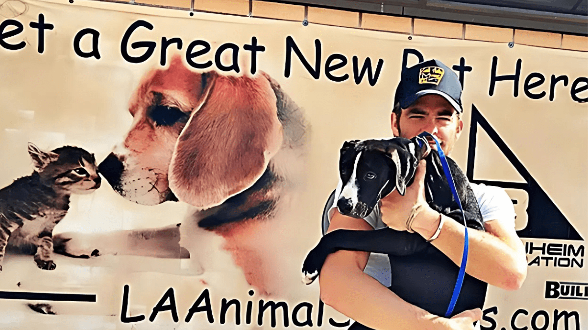 Discover the Heartfelt Lessons Chris Pine Learned from His Rescue Pit Bull