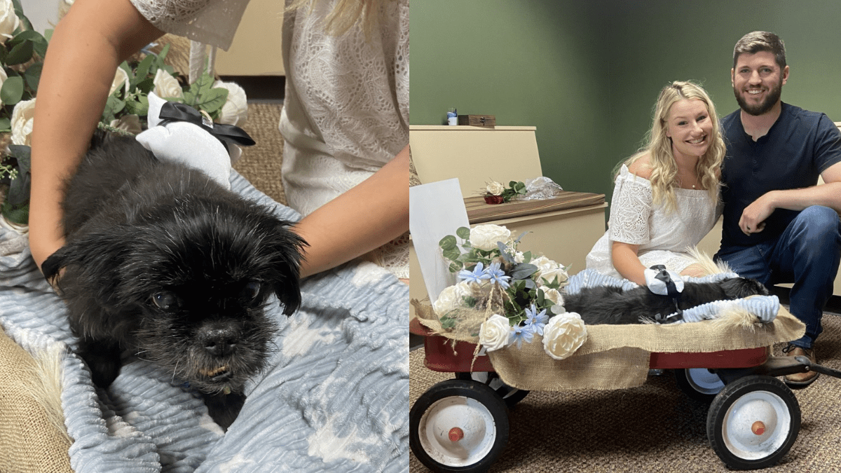 Couple Breaks Tradition to Include Furry Friend in Their Wedding