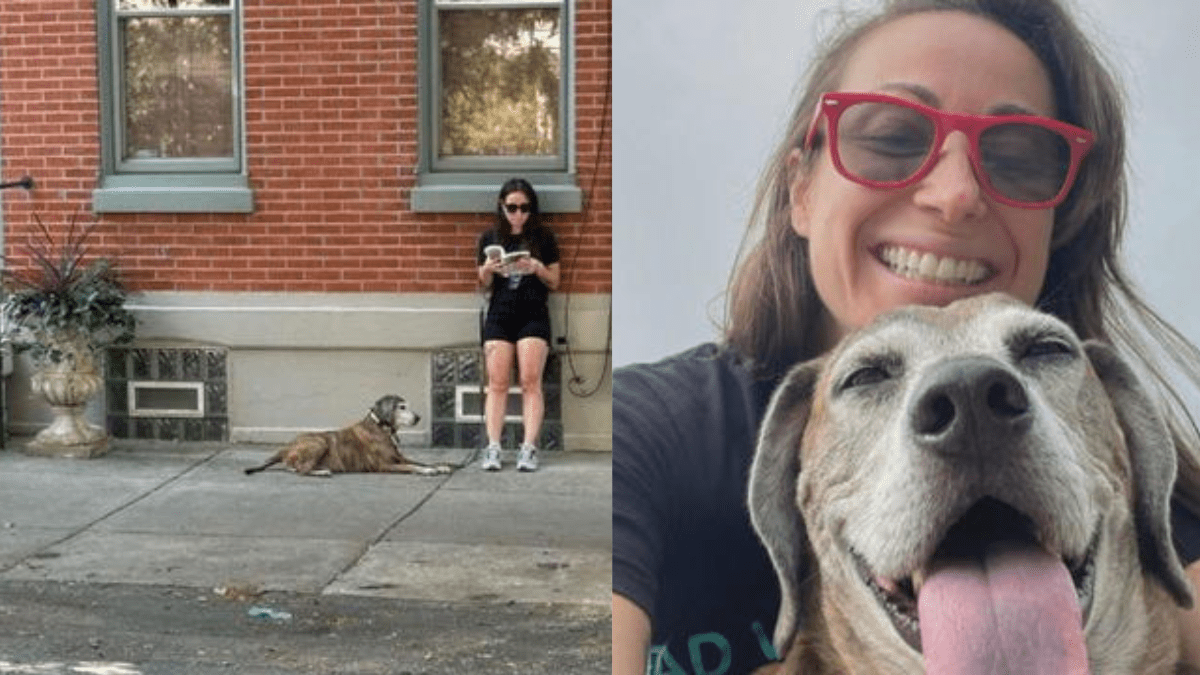 How One Woman Found a Photo of Her Dog's Final Moment