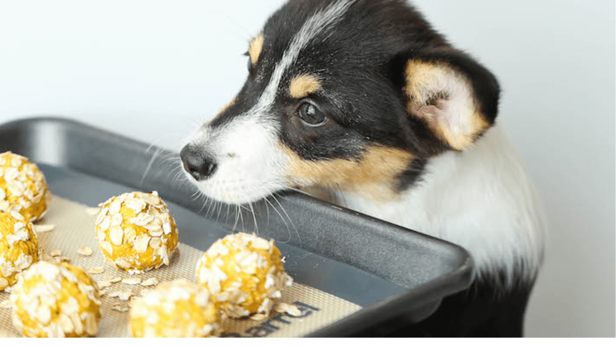 No Bake Peanut Butter Balls