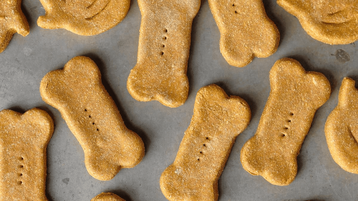 Pumpkin and Ginger Dog Treats