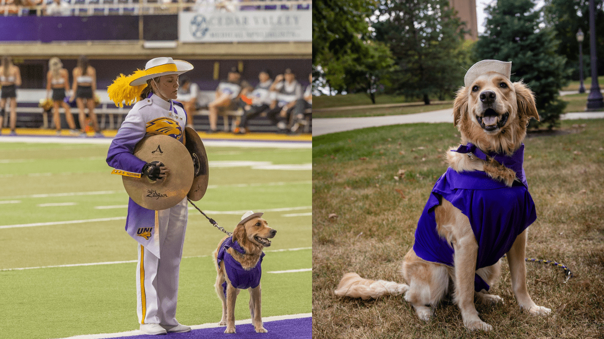 Service Dog Steals the Show as a Marching Band Performer