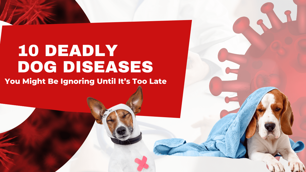 10 Deadly Dog Diseases You Might Be Ignoring Until It’s Too Late