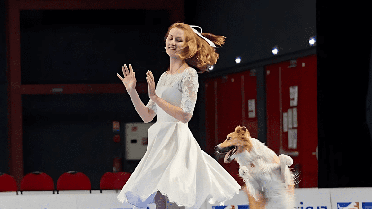 Border Collie and Dancer Captivate Audiences in World Championship Performance