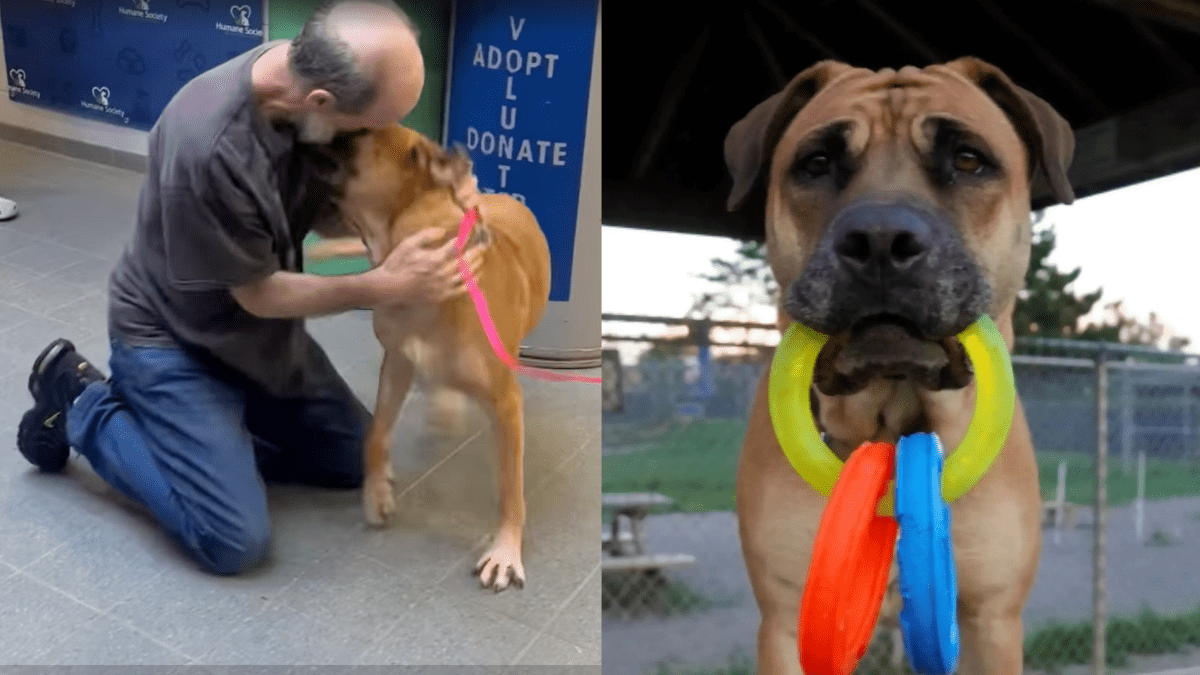 Cancer Survivor Reunites with Dog After Heartbreaking Separation