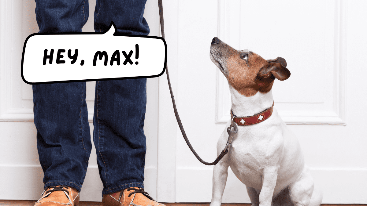 Discover 2024s Popular Dog Names Is Your Pups Name on the List