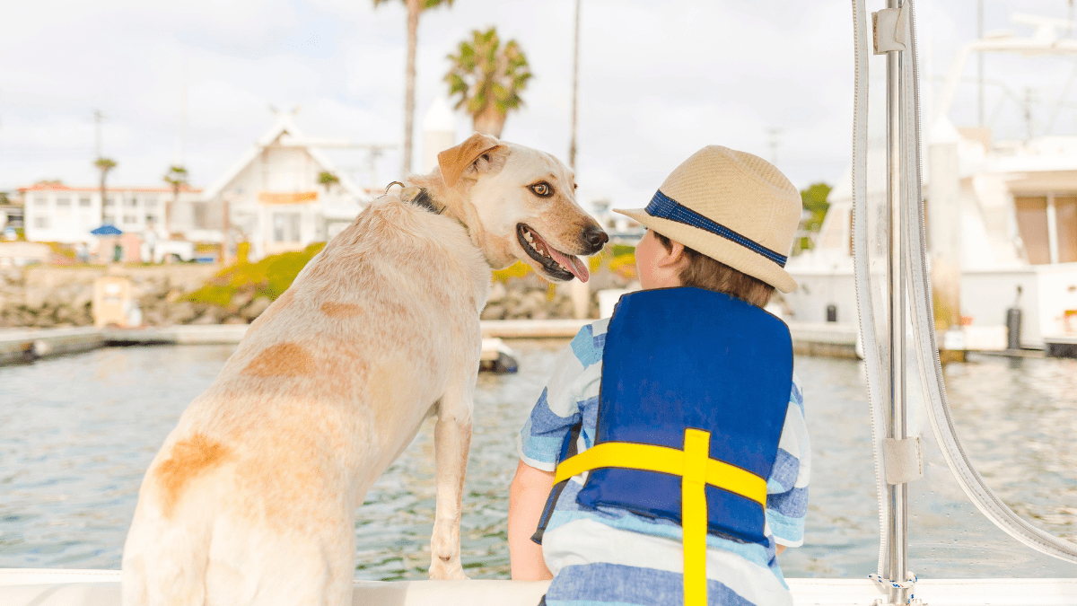 Dog-Friendly Cruise Launches from Tampa in 2025