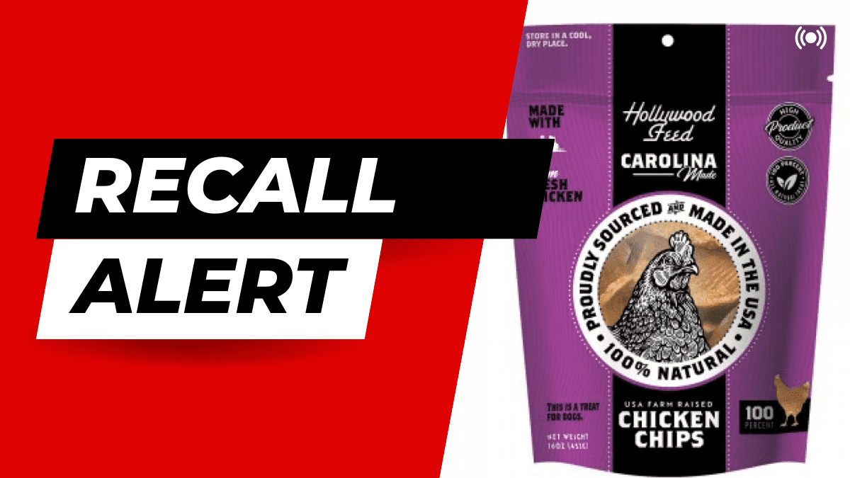 FDA Issues Urgent Recall for Dog Treats with Salmonella Risk