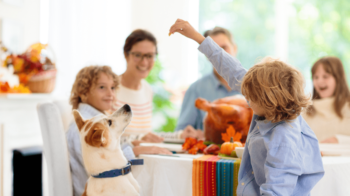 Thanksgiving Dinner Do’s and Don’ts Guide For Dogs