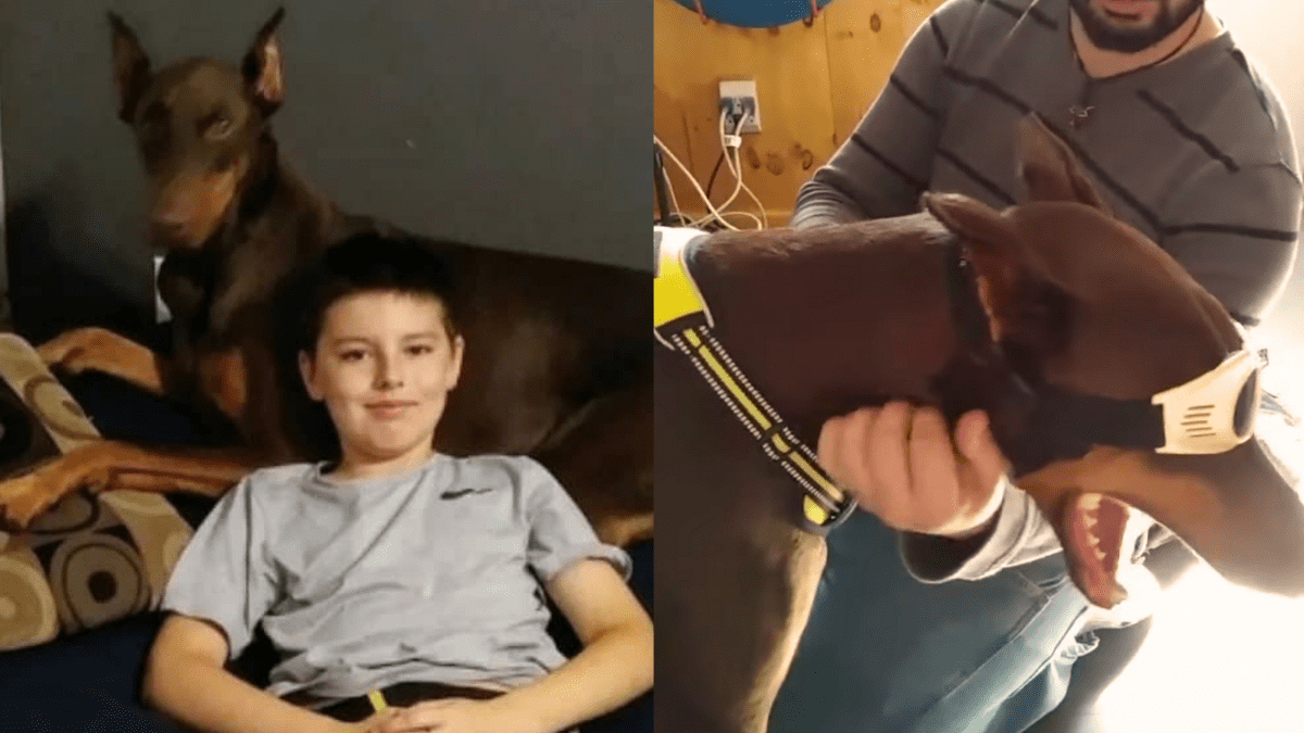 Young Boy's Heartwarming Gesture to Save His Furry Best Friend