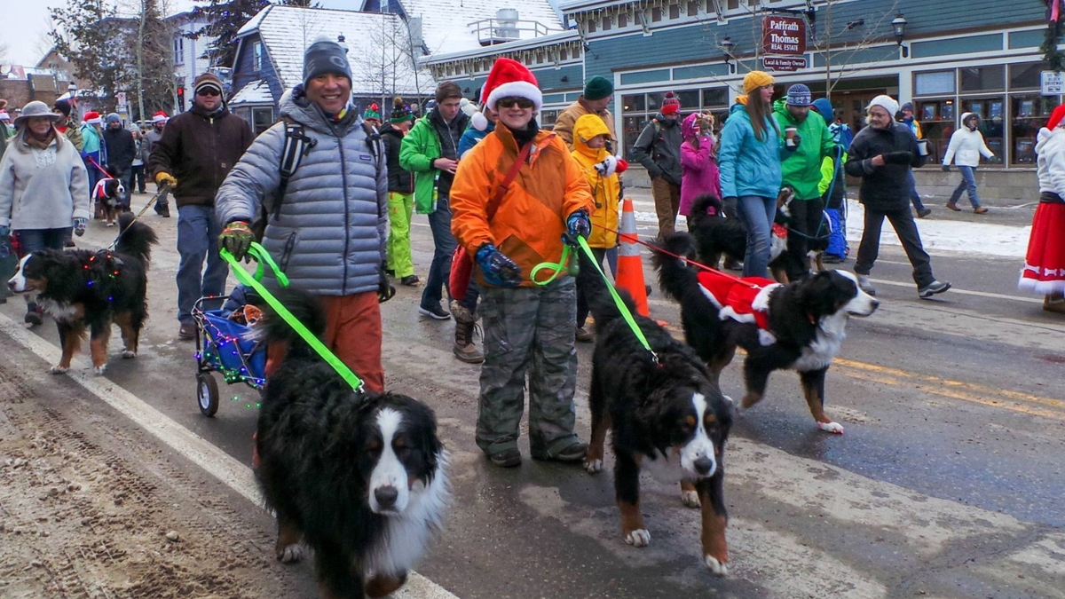 Holiday Dog Parade