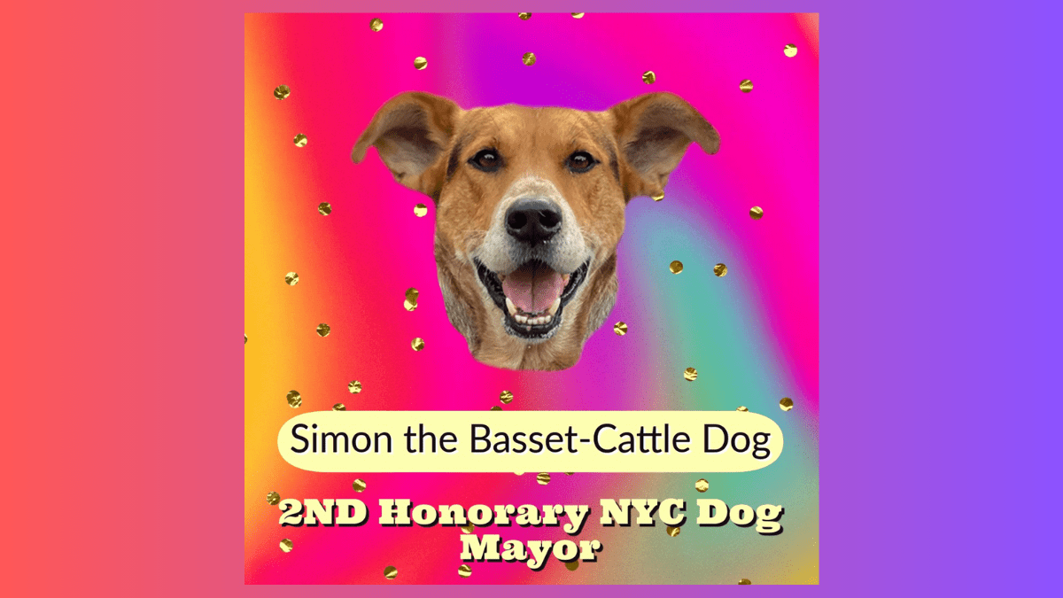 Honorary Mayor