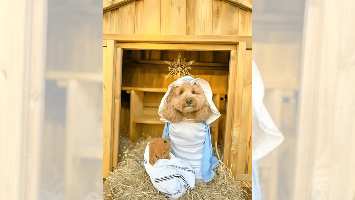 Mary and Baby Jesus