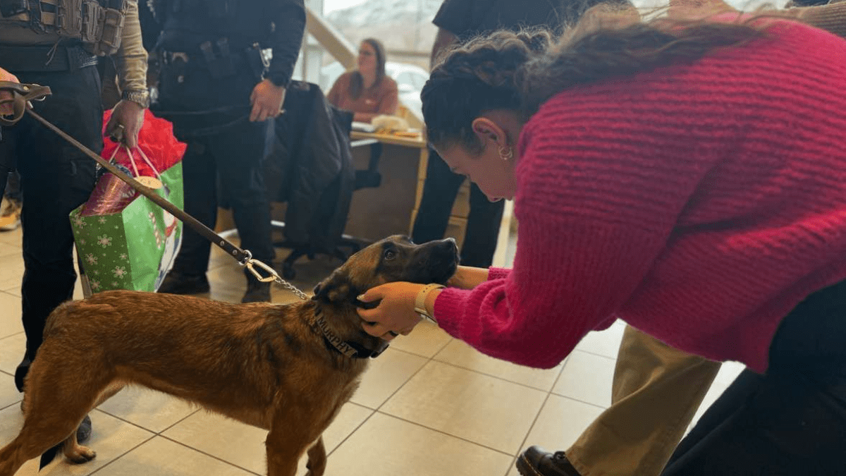 Police dog Murphy receiving his gift bag