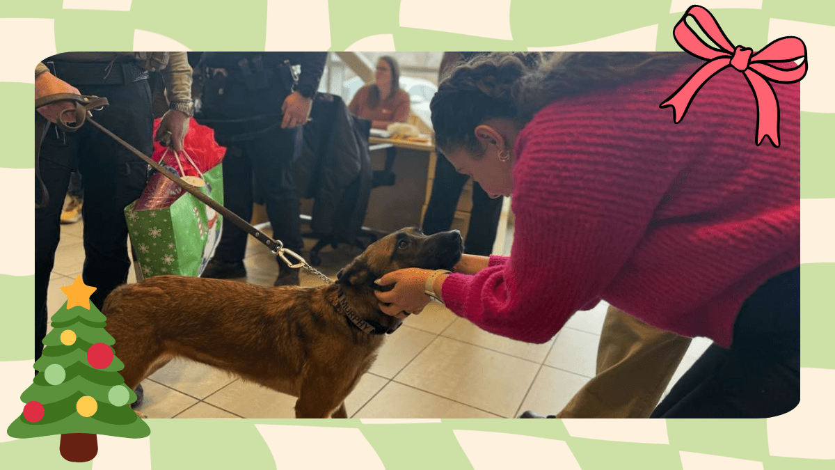 Toys, Treats, and Thanks Police Dogs Receive Holiday Gifts