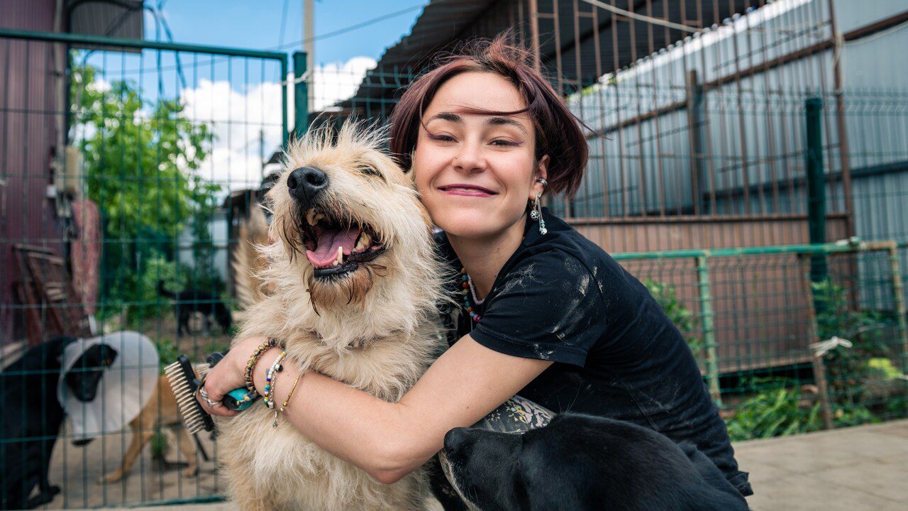 10 Things You Must Know Before Adopting a Rescue Dog