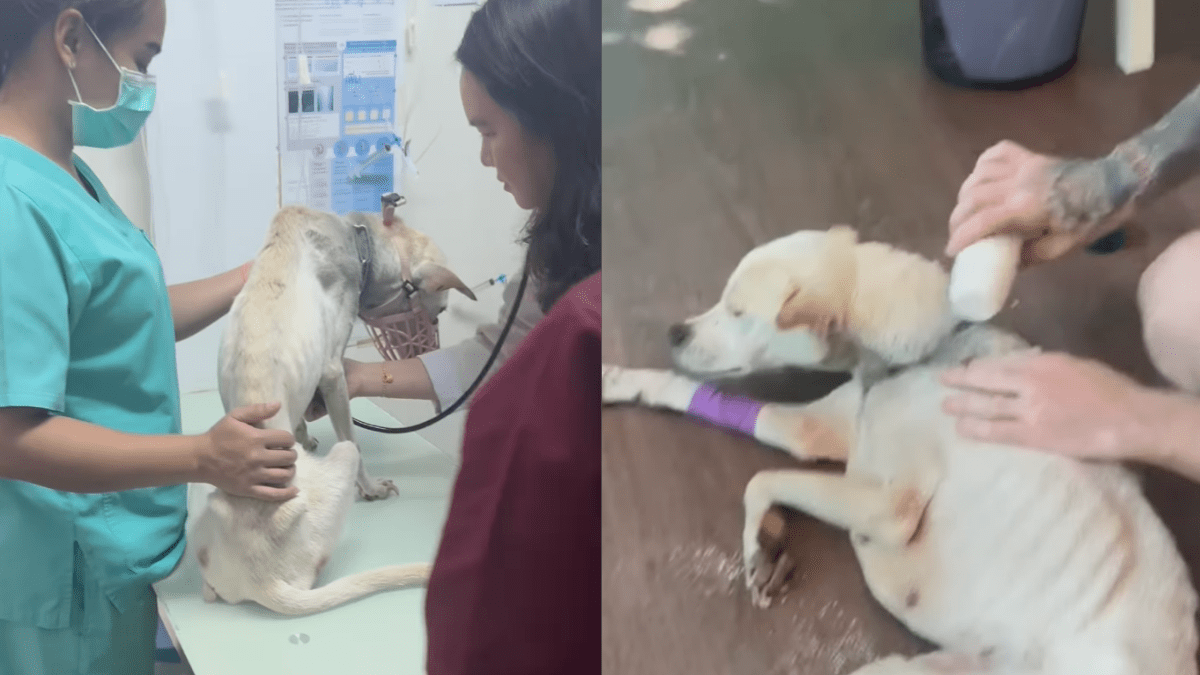 Alba gets medical attention
