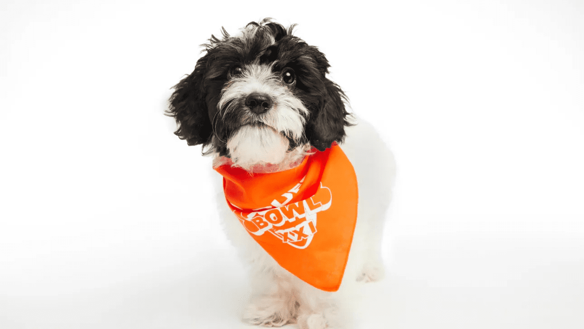 Dee Bone Samuel from Team Ruff