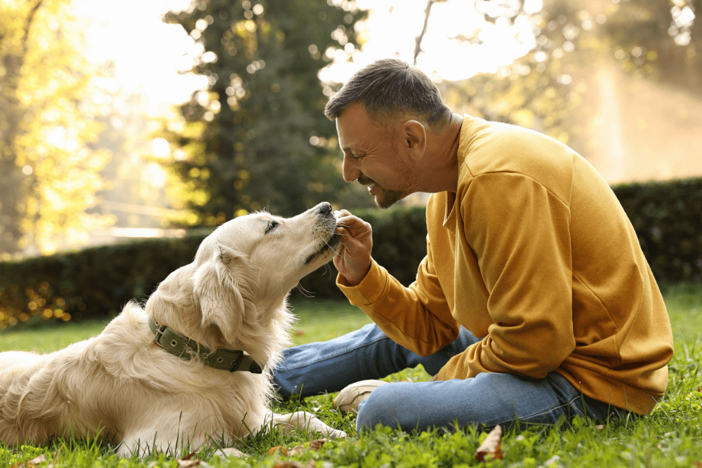 Learn Your Dogs Love Language