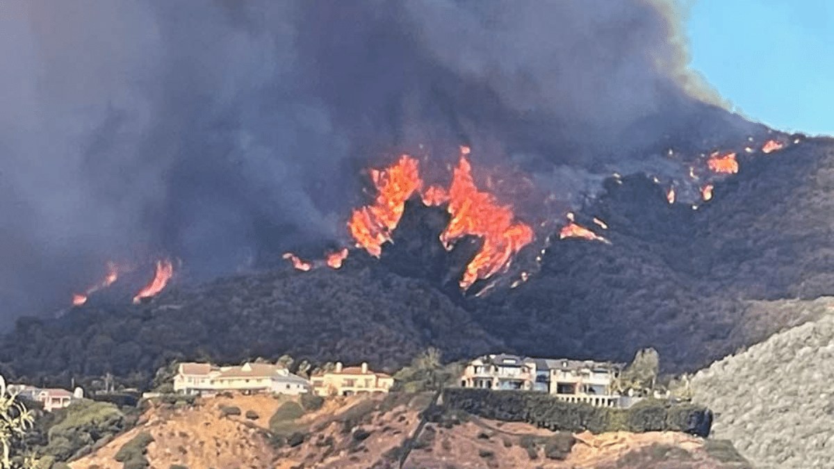 Los Angeles fires