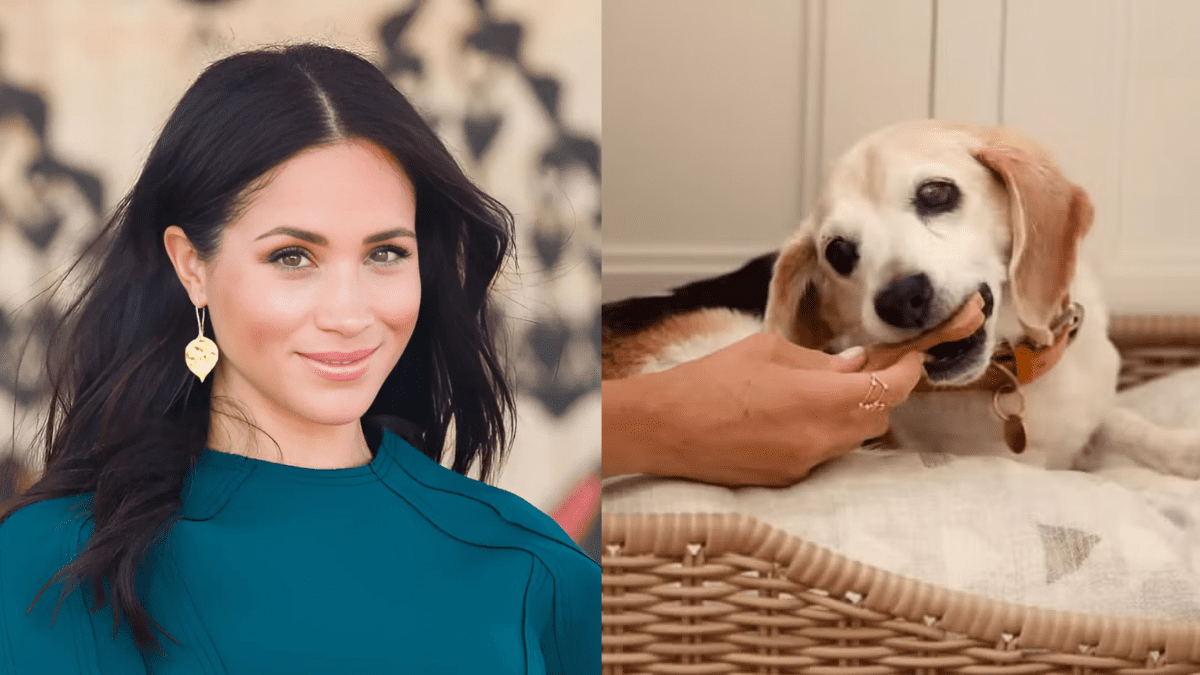 Meghan Markle’s Tearful Goodbye to Her Loyal Companion