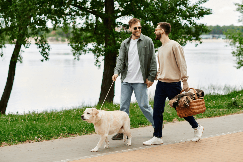 Plan Your Pets Routine