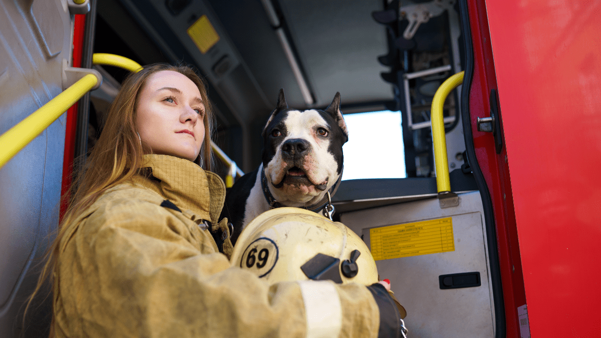 Rescuing dogs during fire