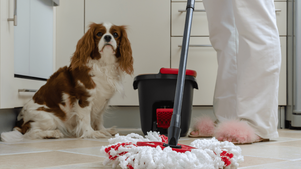 Using harsh cleaning products Banepx from Getty Images