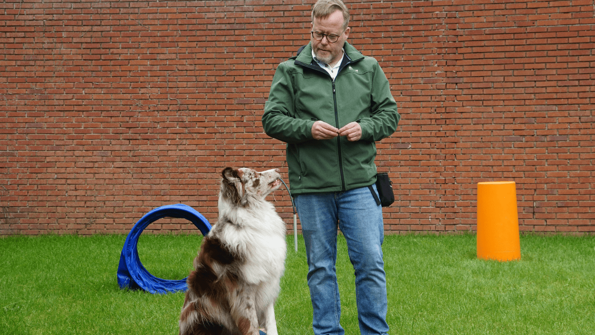 Training a dog outdoors