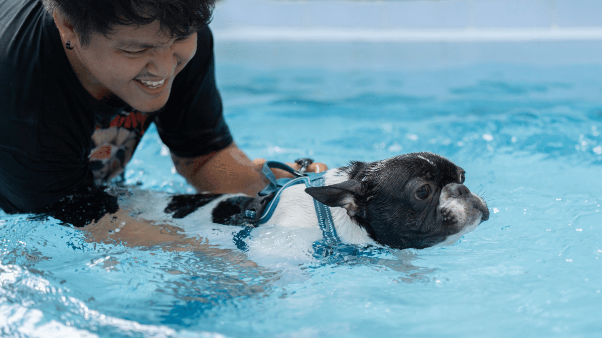 3. Swimming Without Supervision