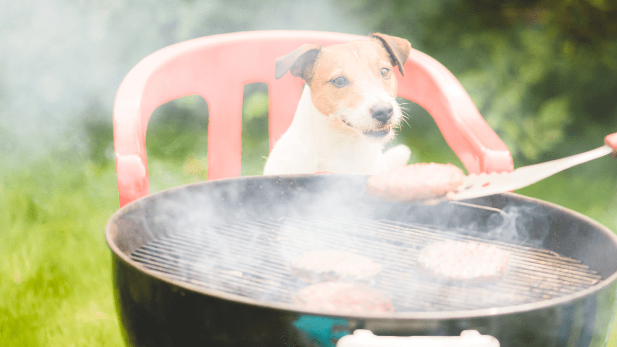 7. Backyard Cookouts