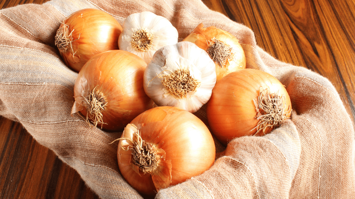 Garlic and Onions