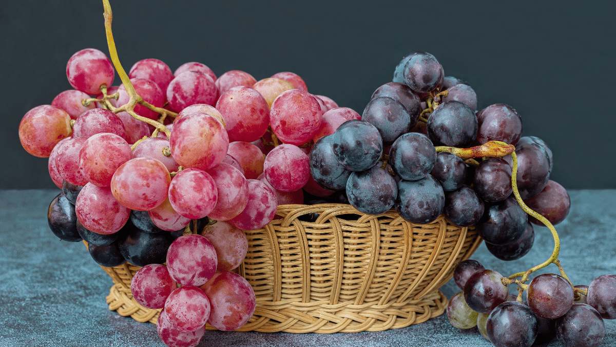 Grapes