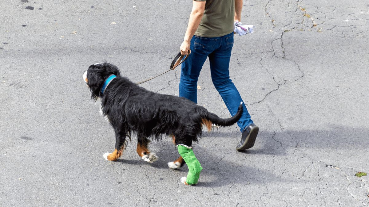 Limping