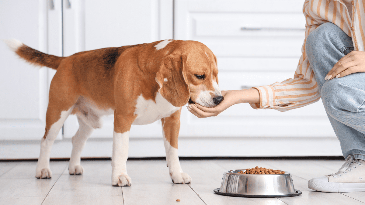 Poor Diet and Nutrition