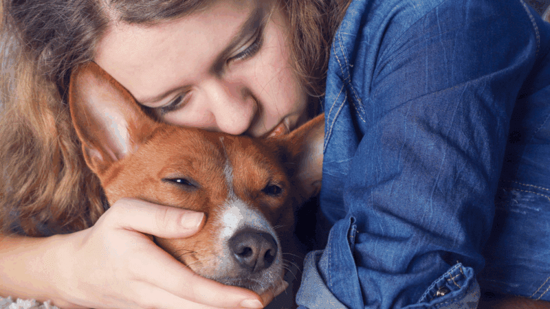 The 12 Warning Signs Your Dog Is Dying