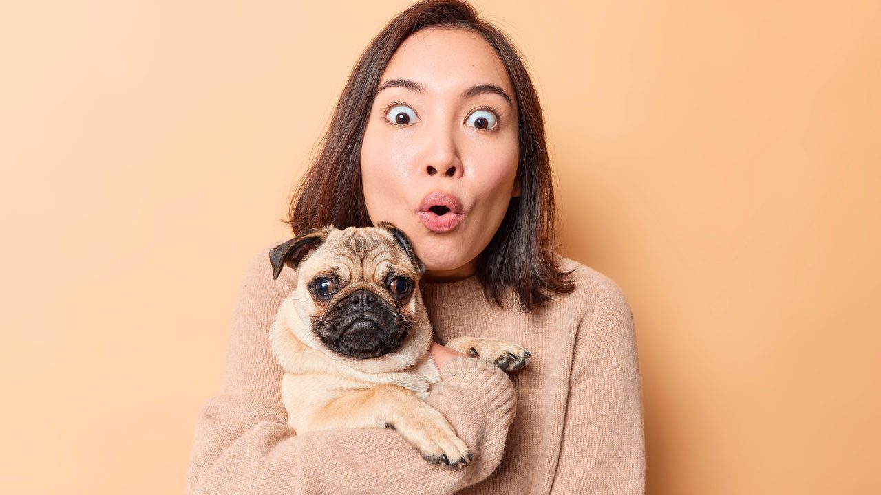 These 10 Common Household Items Are Deadly to Dogs