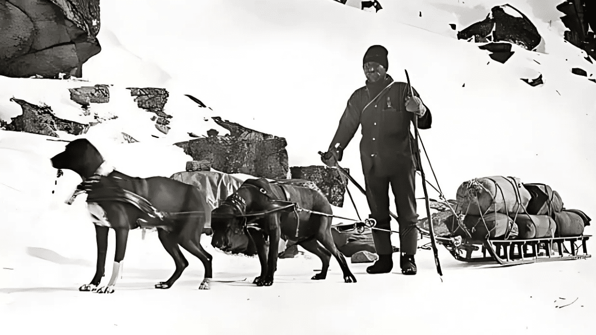 Alaska Mushing School 1