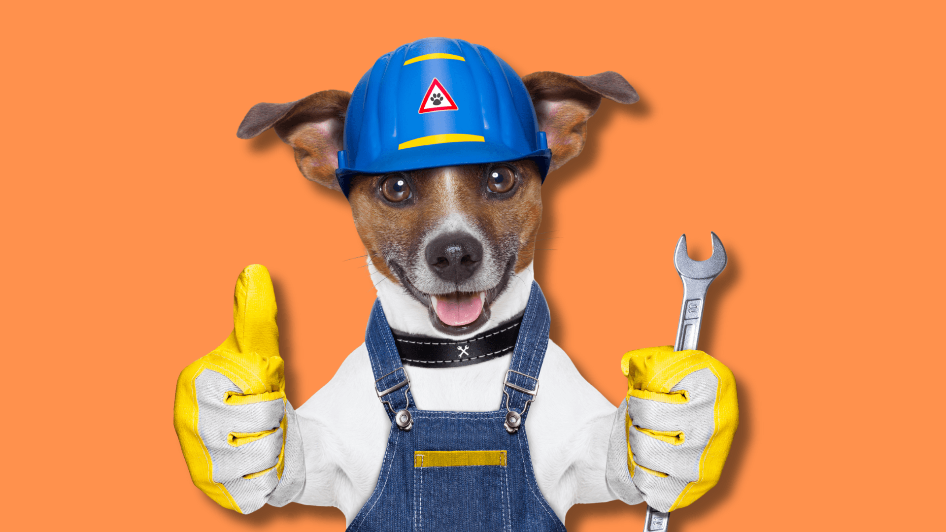 The 10 Dog Jobs That Will Blow Your Mind