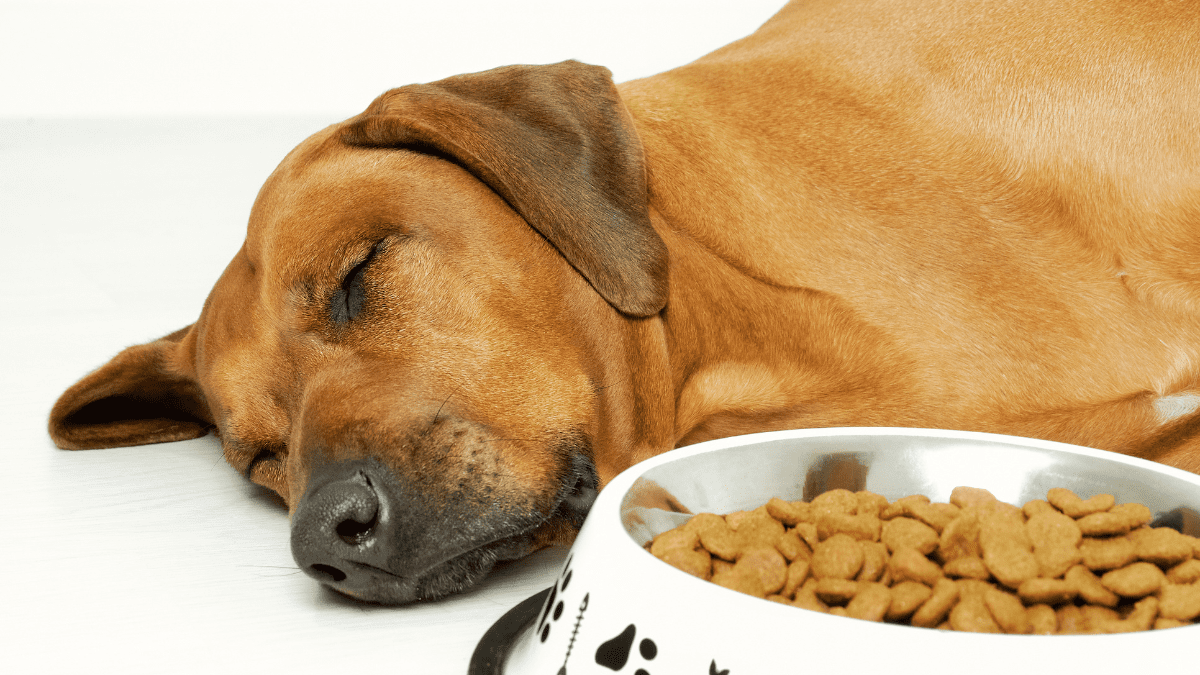 Appetite Changes