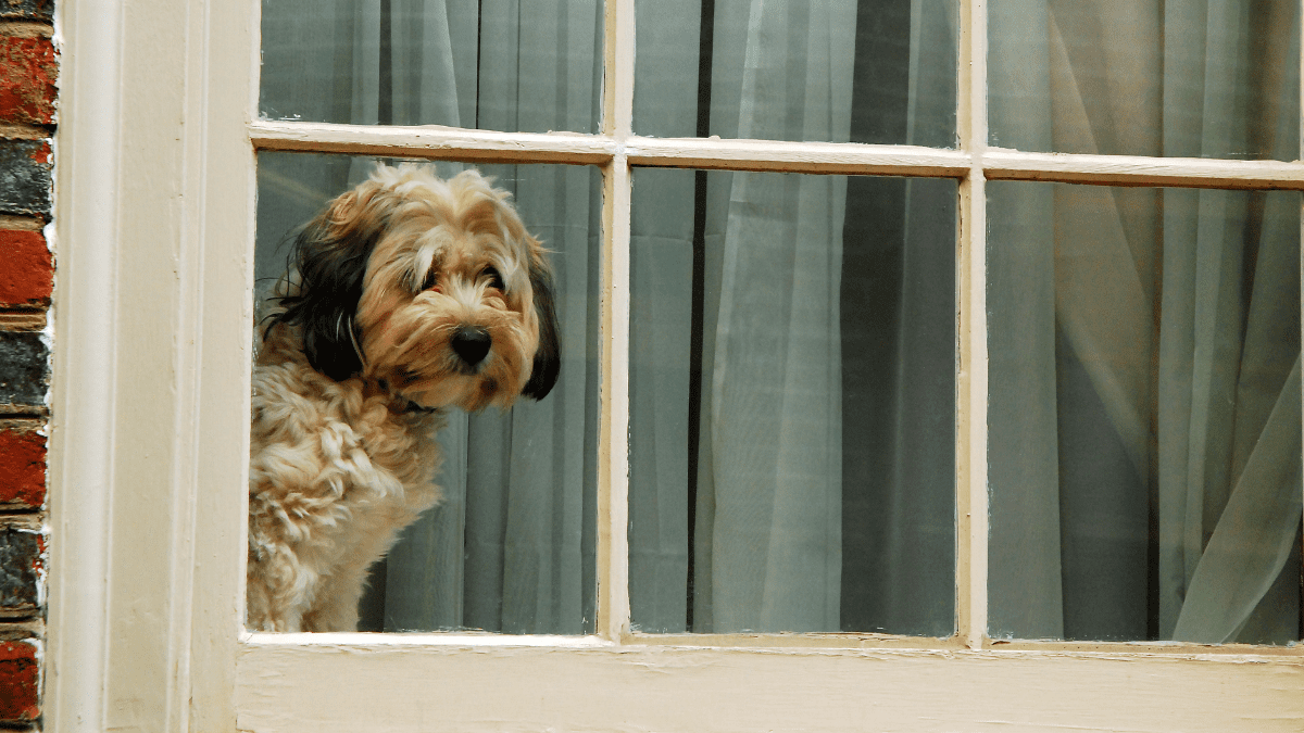 Being Left Alone