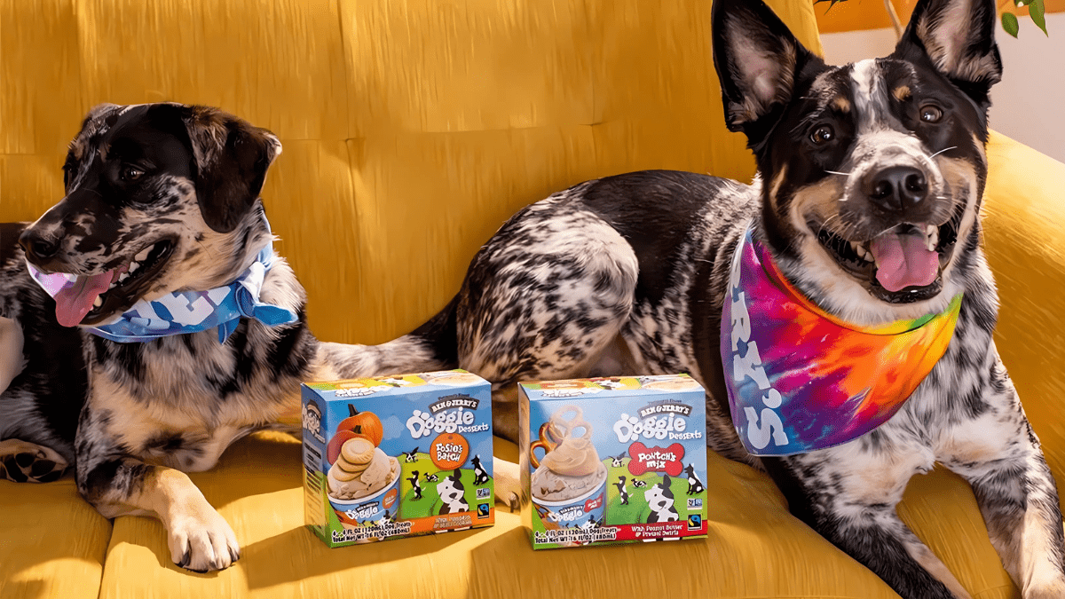 Ben Jerrys Doggie Desserts