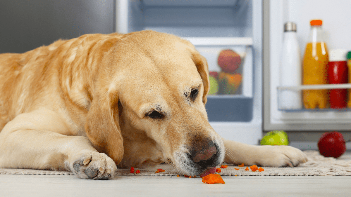 Carrots