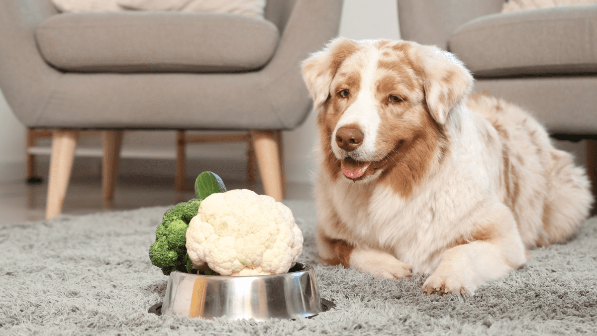 Cauliflowers