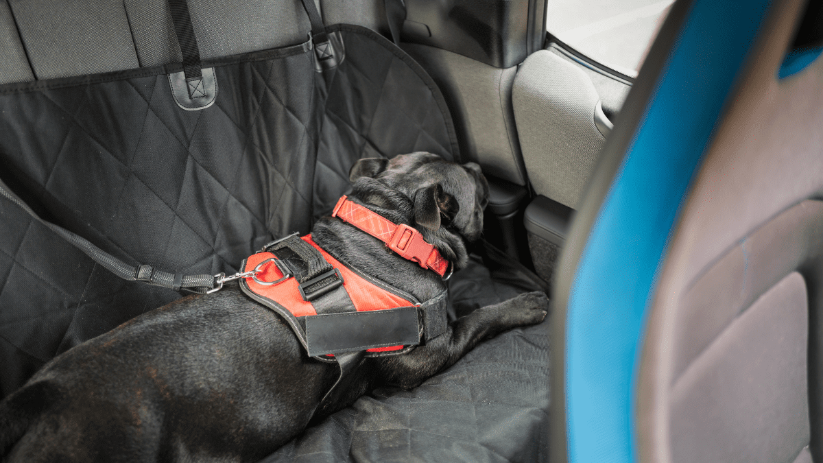 Cooling Car Seat Covers