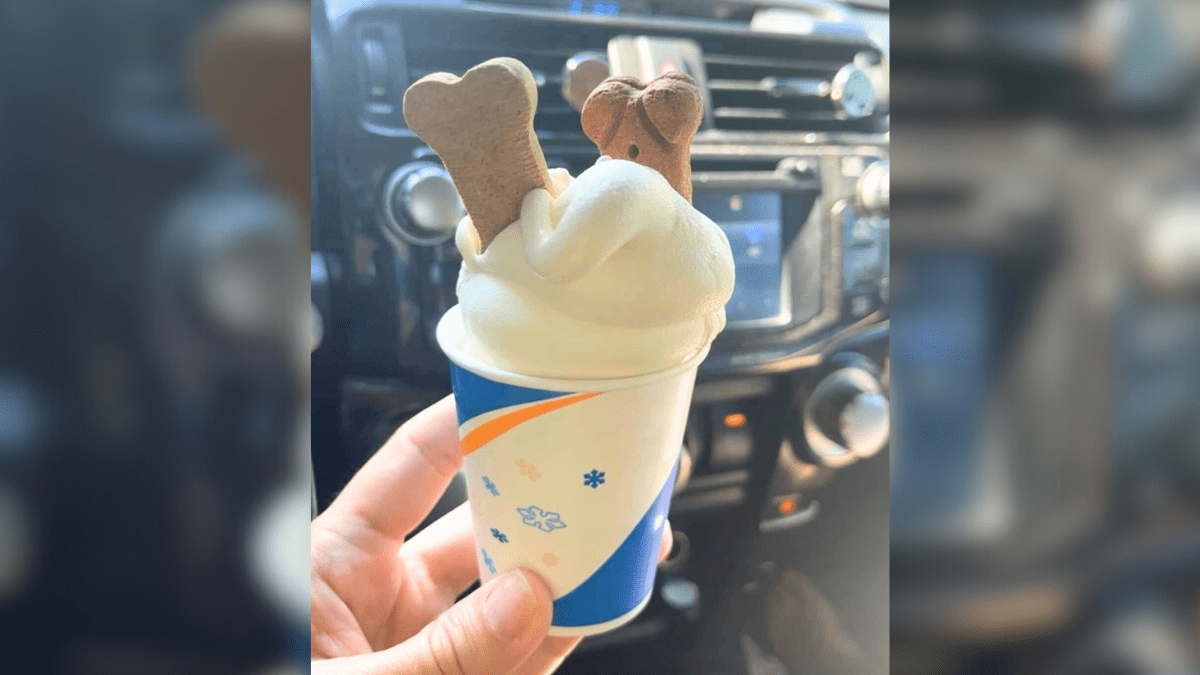Dairy Queens Pup Cup